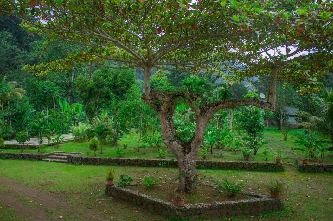Welfare Agroturismo Milagrosa Exterior photo